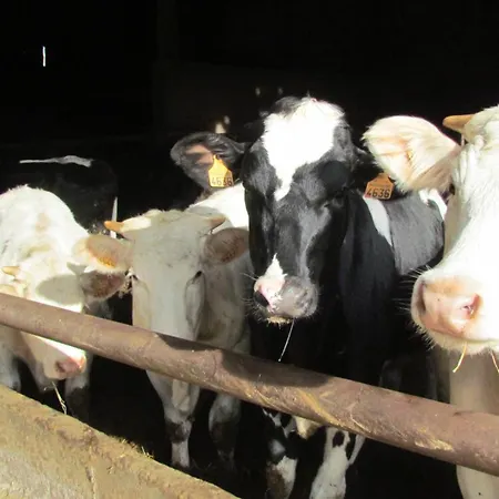 La Petite Maison * Montournais